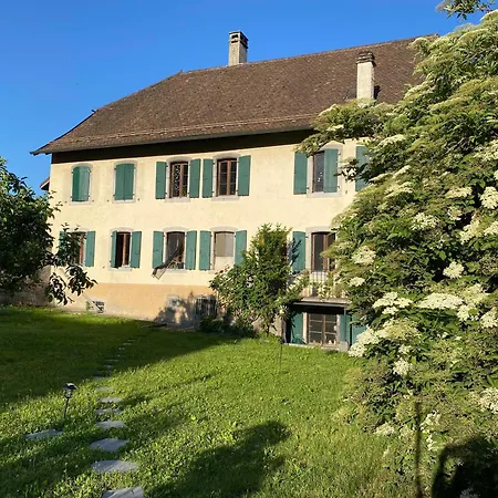 Avec Vue Sur Le Chateau D'aigle * Aigle